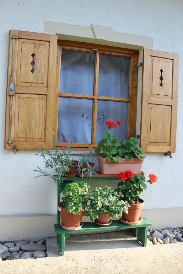 Sleeping In Village Svecina Εξωτερικό φωτογραφία